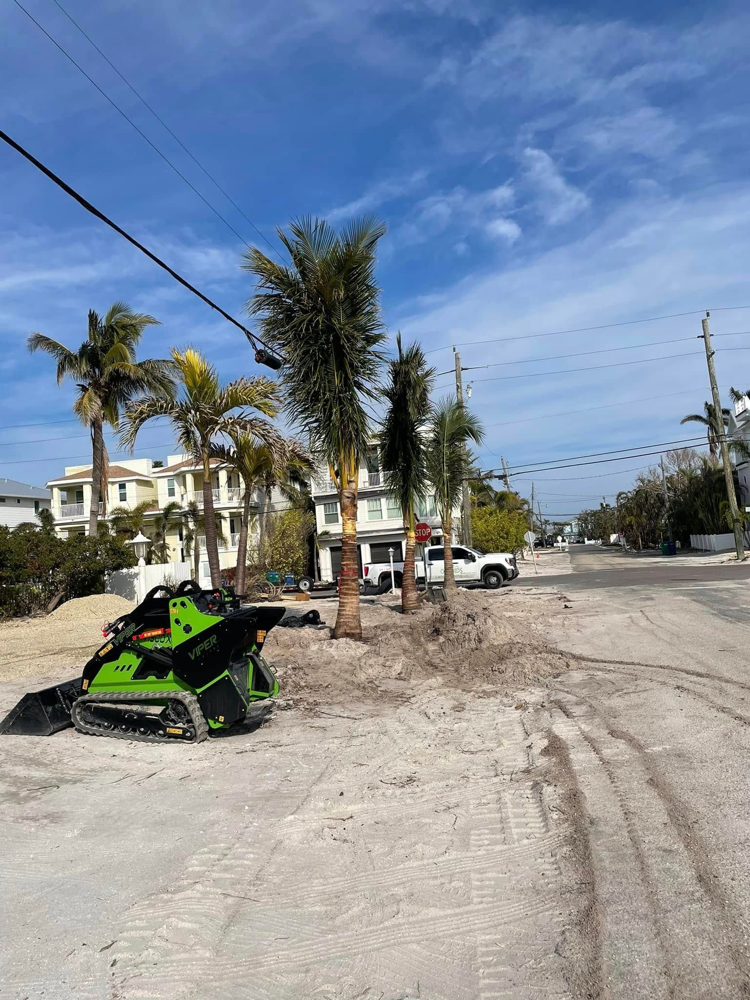 Green skid steer clears debris on a sandy road with power lines overhead and palm trees in the distance.