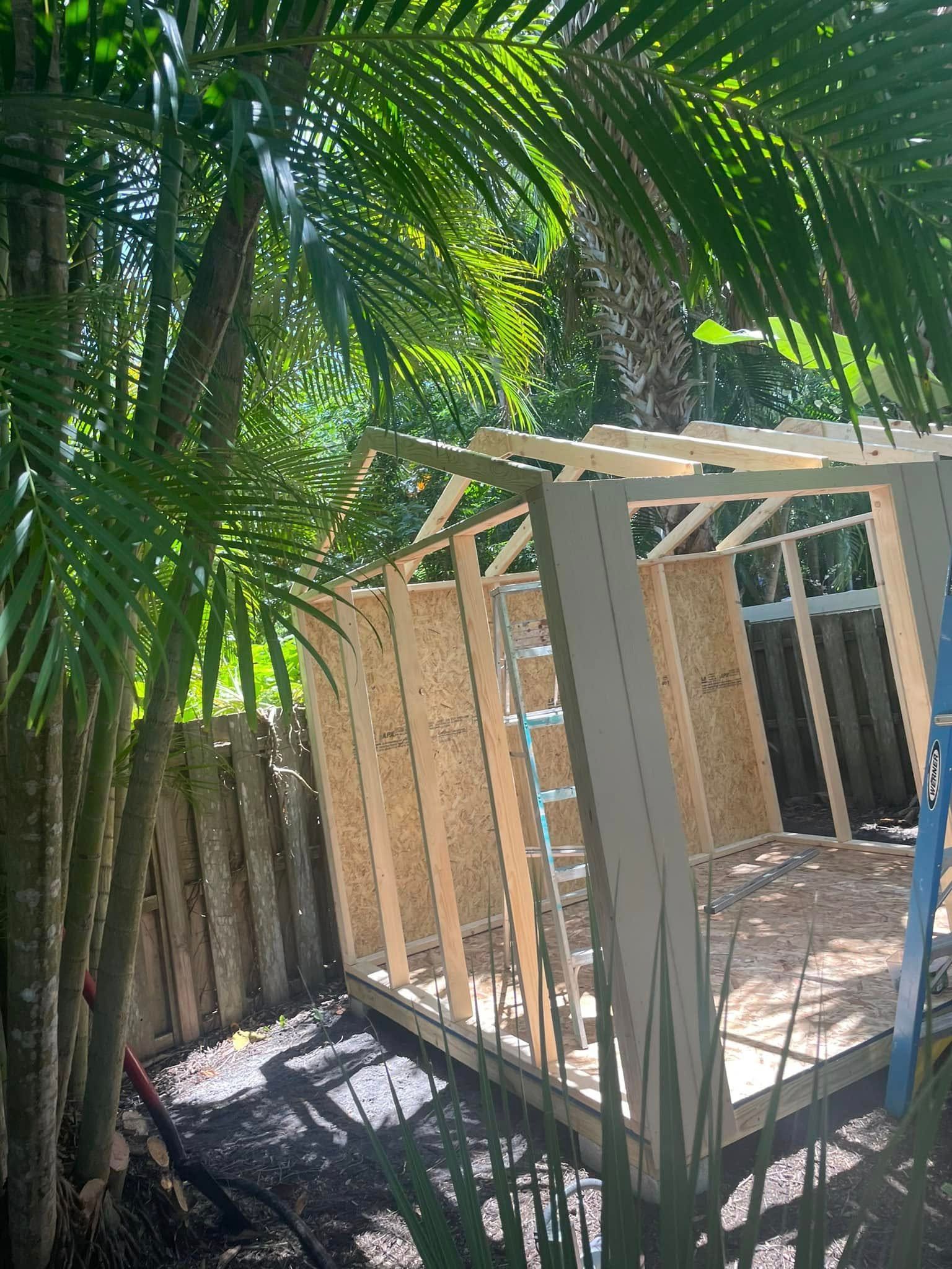 A wooden shed under construction in a tropical setting with tall palm trees.