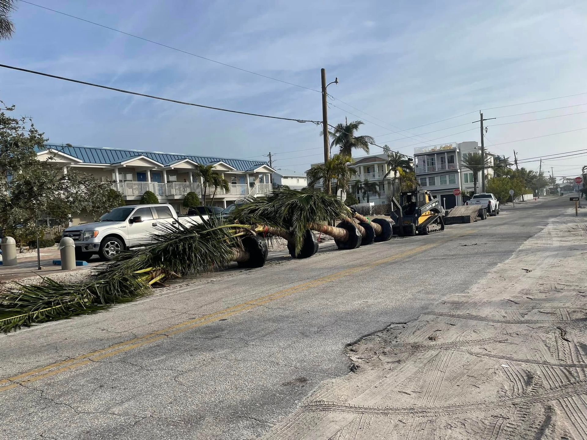 Fallen palm trees on a street, debris and sand visible. White vehicles parked along side. Buildings in background.