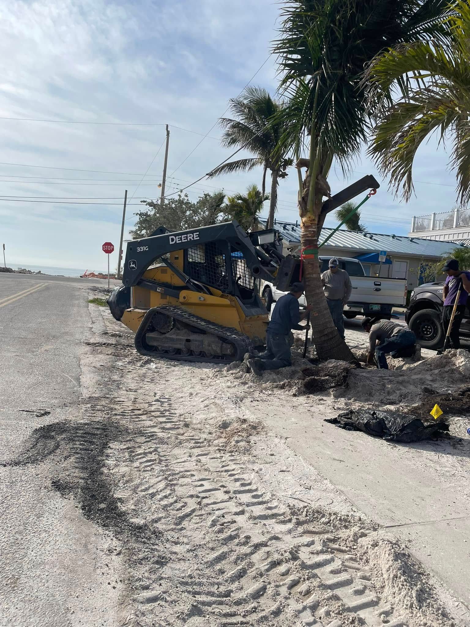 Construction crew using machinery to work on a tree next to a road, likely planting or removing it.