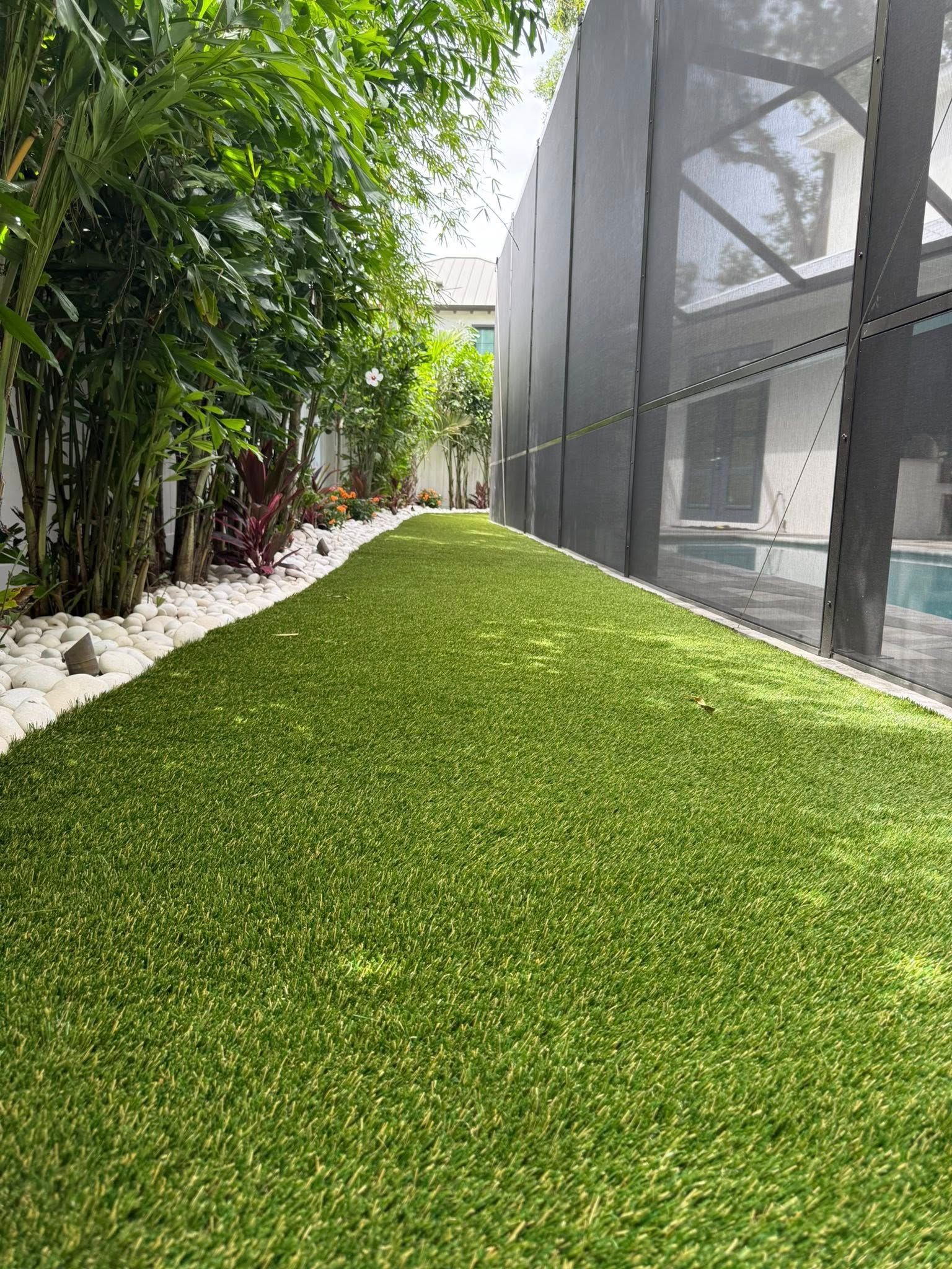 Narrow lawn of green turf, bordered by bamboo and a screen enclosure.