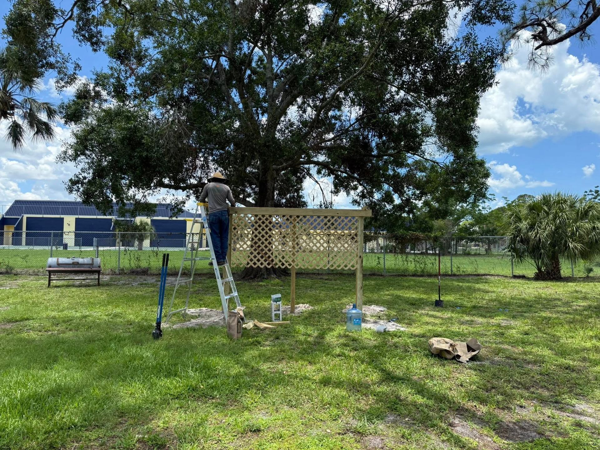 Person on ladder building a wooden lattice outdoors under a large tree, tools and supplies on the grass.