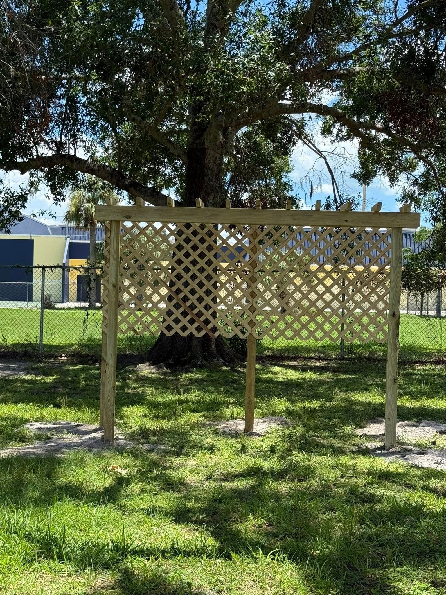 Wooden trellis structure in grassy area, with trees and buildings in the background.