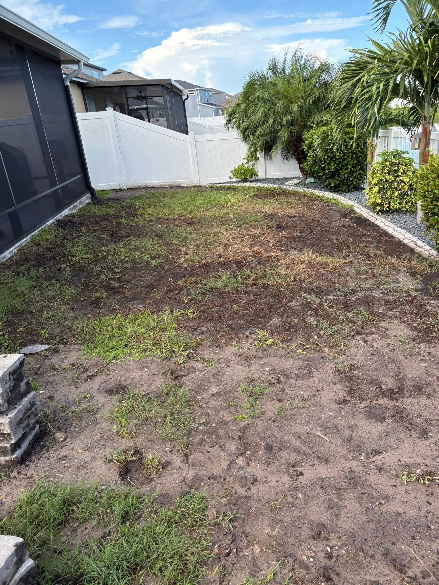 Dirt and patchy grass in a backyard with a white fence, bushes, and palm trees under a cloudy sky.