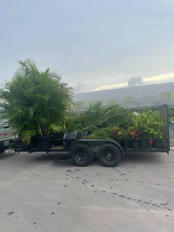 Trailer loaded with green plants, trees, and shrubs parked on concrete, cloudy sky in background.