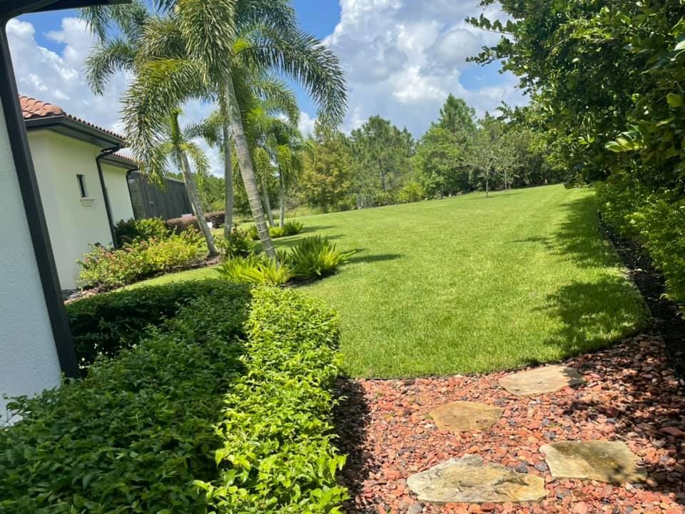Green lawn with trimmed hedges, palm trees, and a house under a cloudy sky.