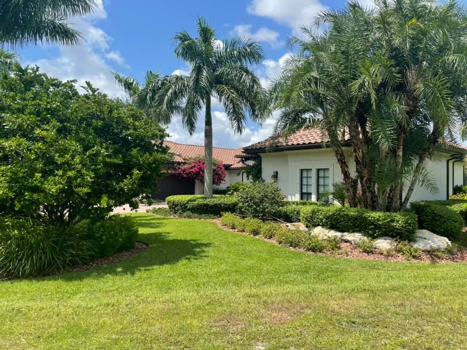 House with white walls, palm trees, and green grass on a sunny day.