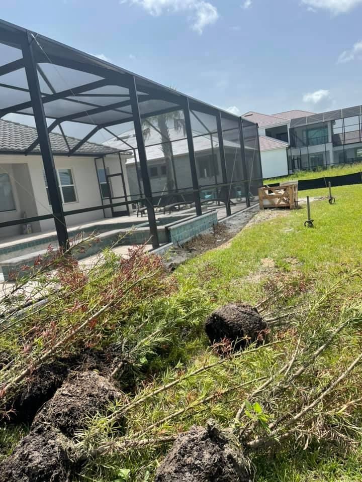 Backyard with pool enclosure, debris, and dug-up ground. Sunny day, green grass, house in background.