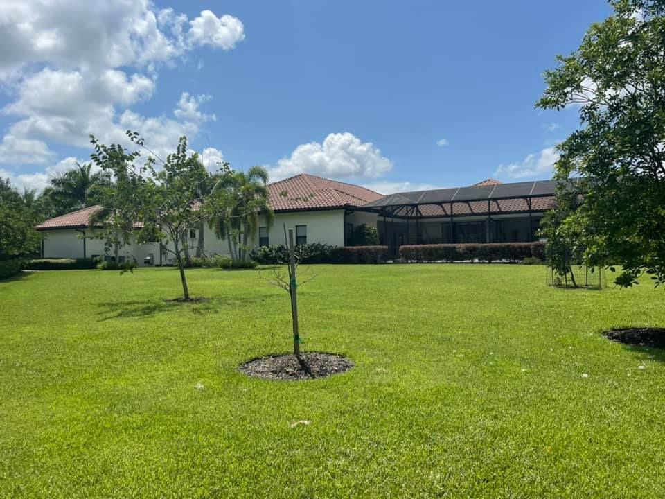 Large green lawn with a house in the background and a pool enclosed by a screen under a blue sky.