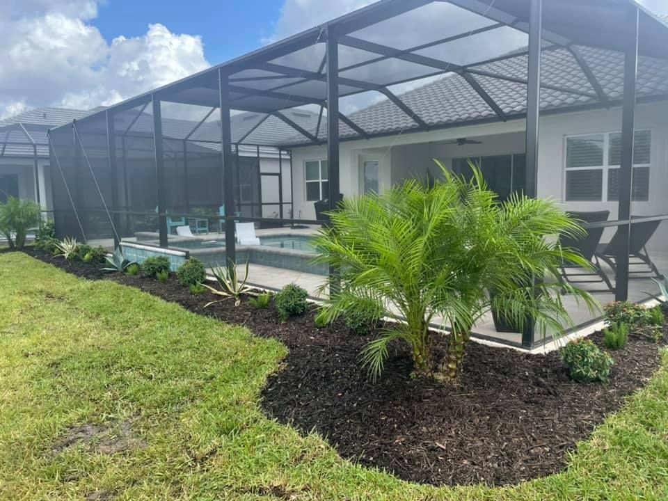 Backyard pool area with screened enclosure, landscaped with plants and mulch.