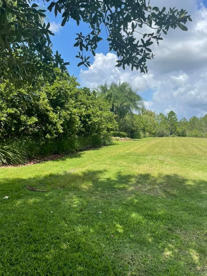 Lush green lawn with trees along the side under a blue sky with clouds.