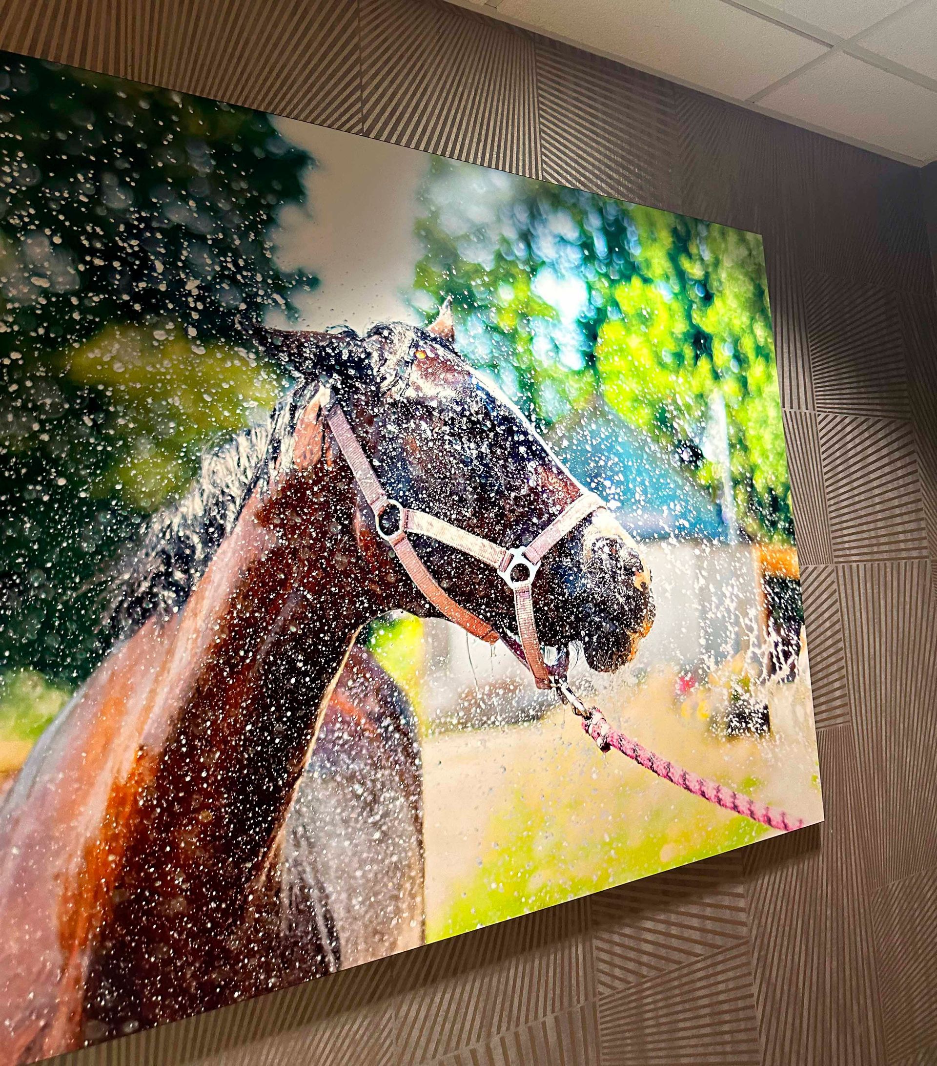 Brown horse portrait, head turned right, wearing a bridle, speckled with water droplets, against a blurry green and yellow background.