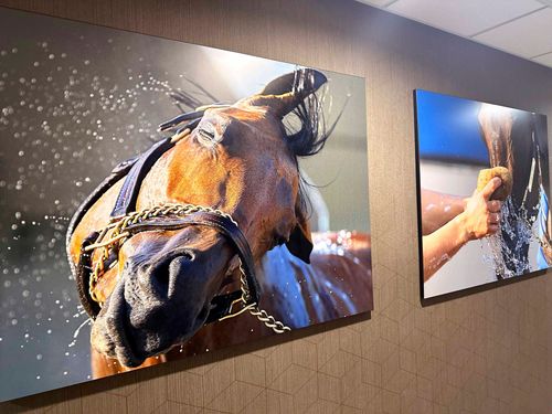 Unique Imaging Concepts