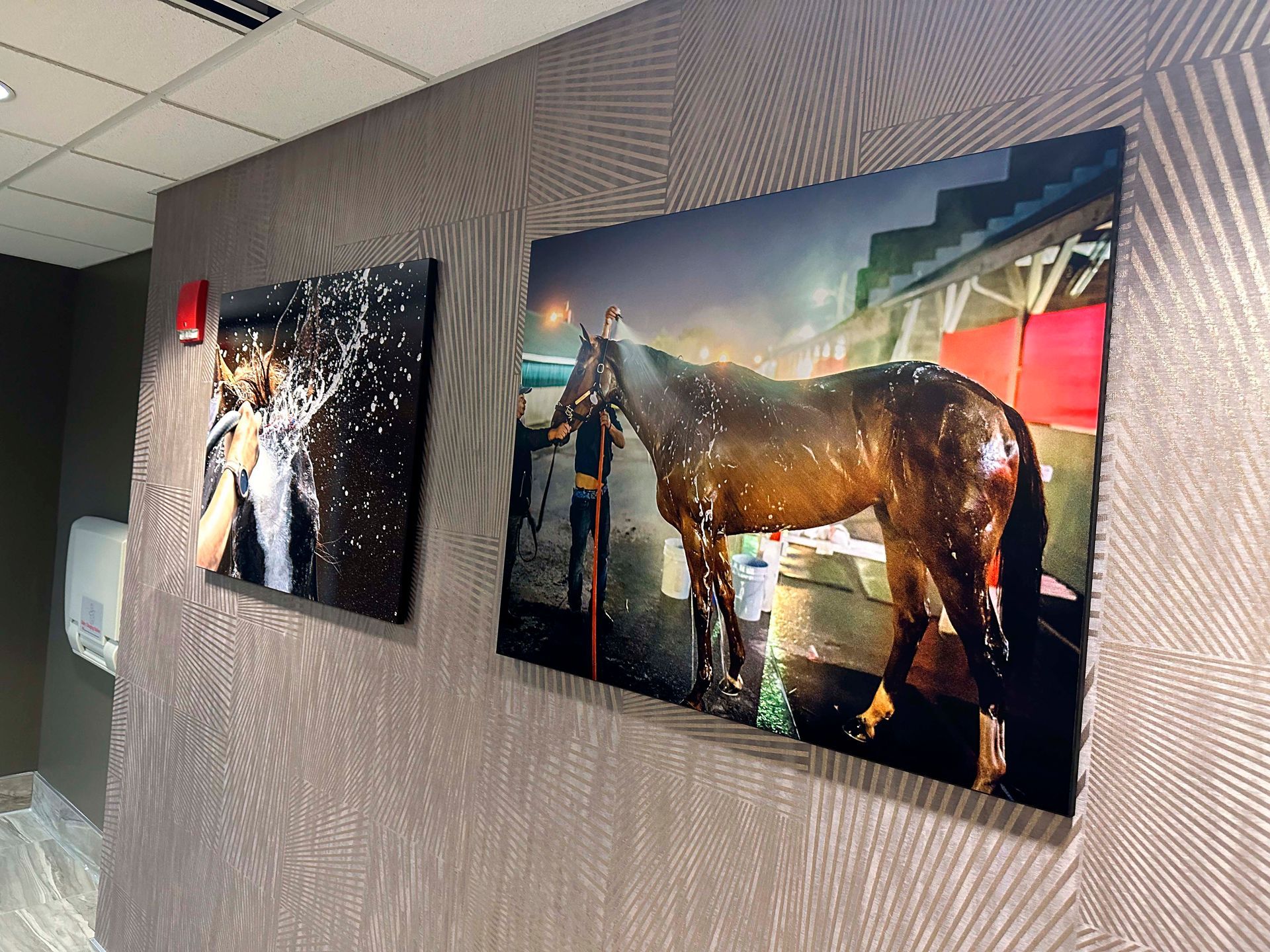 Two horse racing photos on wall: horse being hosed down and person covered in celebratory spray.