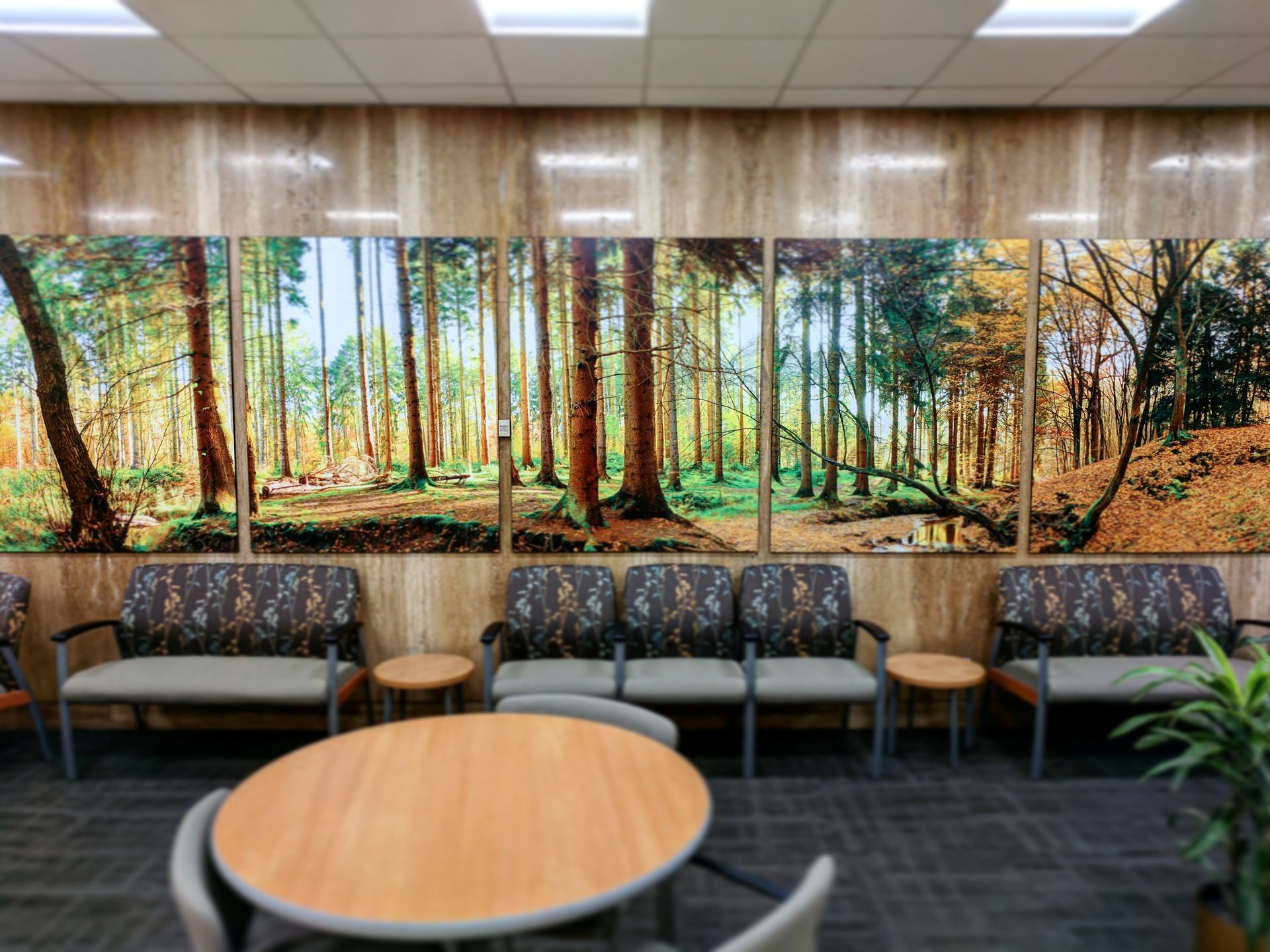 Waiting room with forest mural above seating. Wooden table in the foreground.