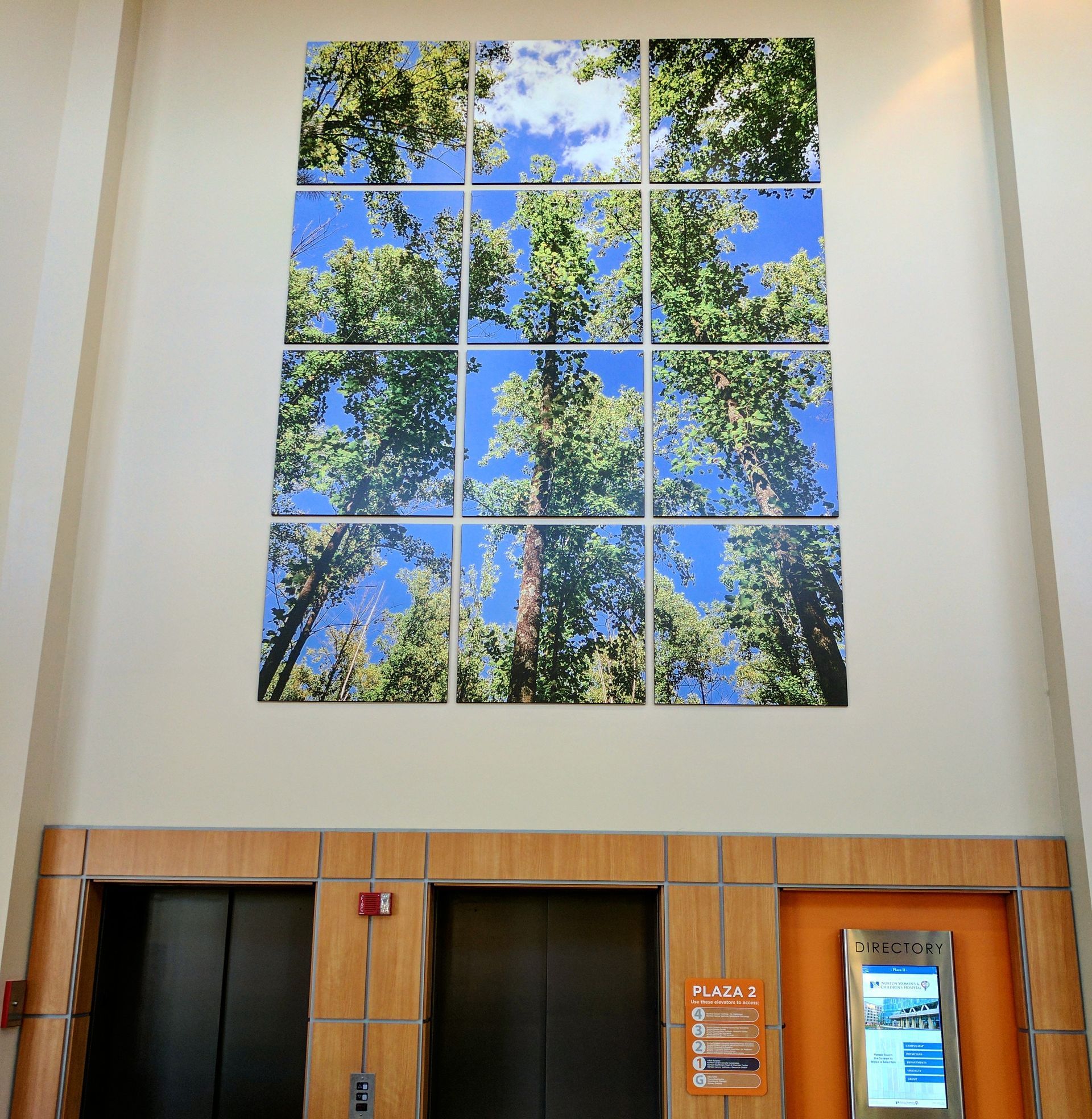 Wall art of a forest canopy with blue sky, above two elevators, and an information display.