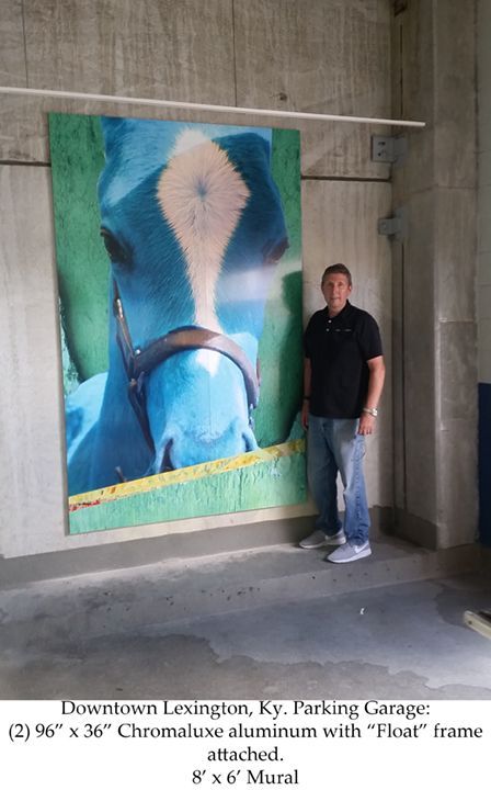 Man standing next to a large blue horse mural in a parking garage.