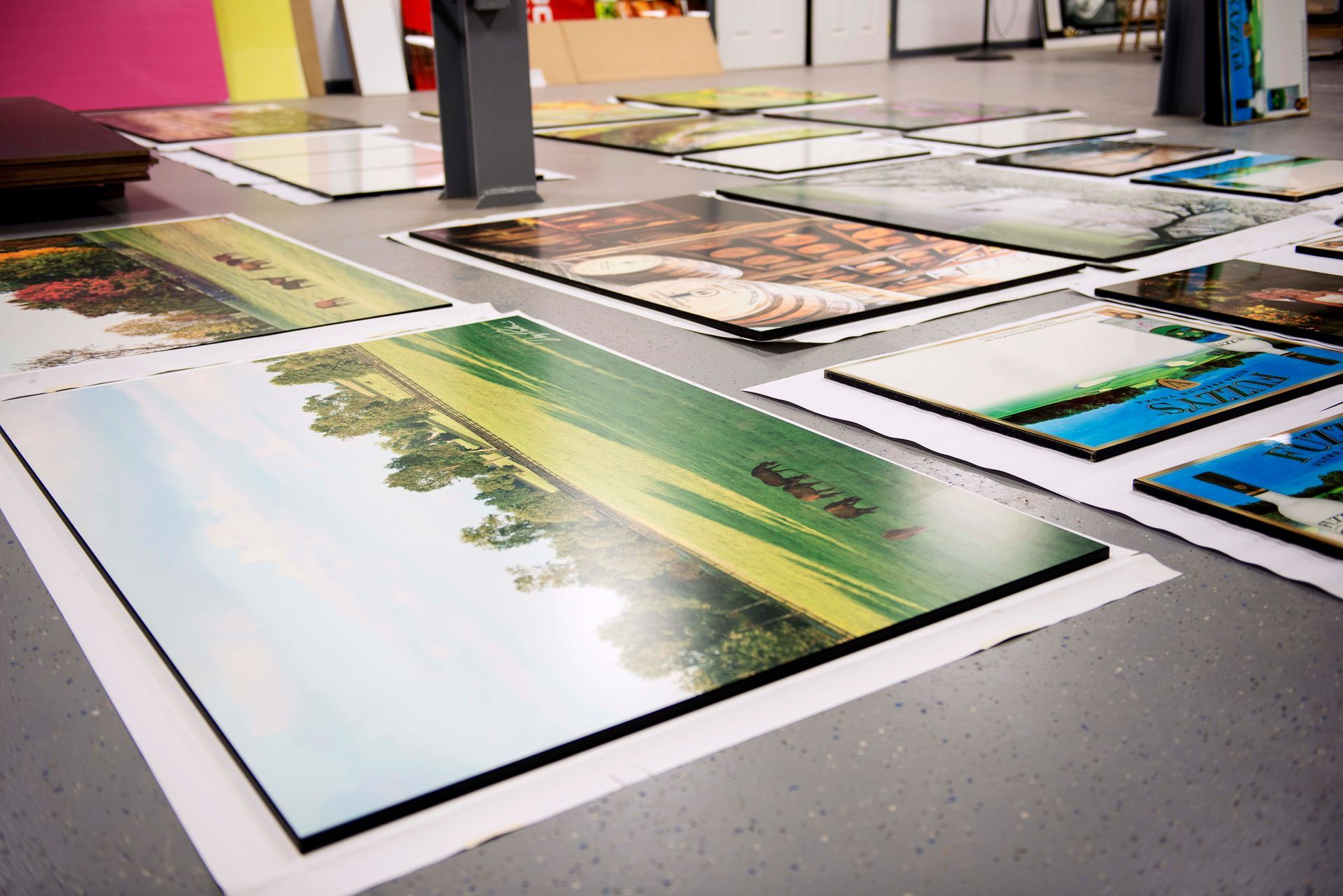 Photographs laid out on a gray floor. One has a tree-lined road, many others have various colorful landscapes.