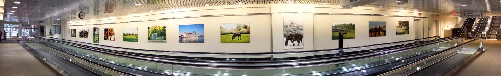 An art gallery displays landscape paintings. Rows of seats face the wall. Fluorescent lights shine from the ceiling.