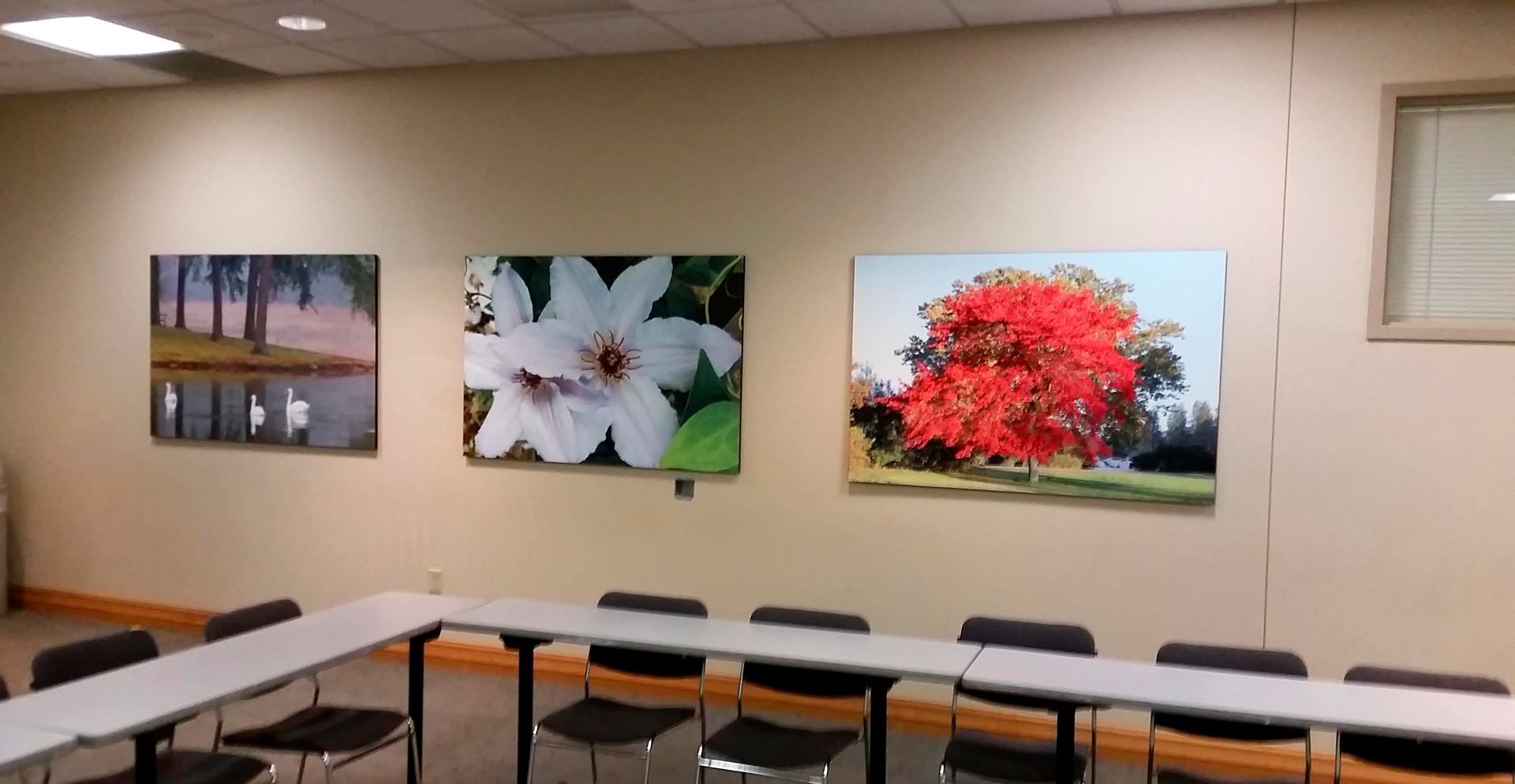 Three nature photographs hang on a wall above a conference table with black chairs.