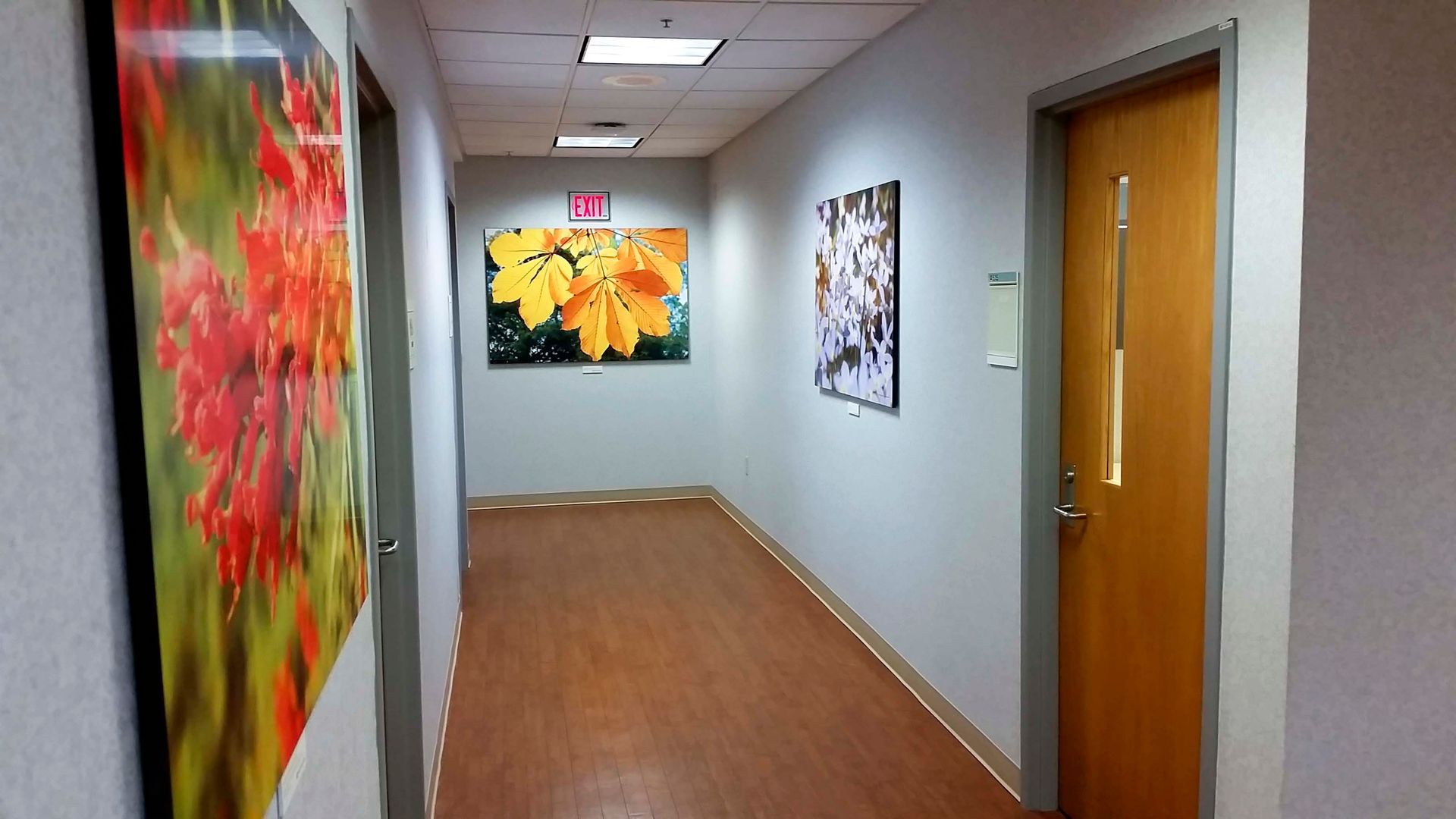 Hallway with wooden floor and framed floral art on light walls. Brown door on right. Exit sign visible.