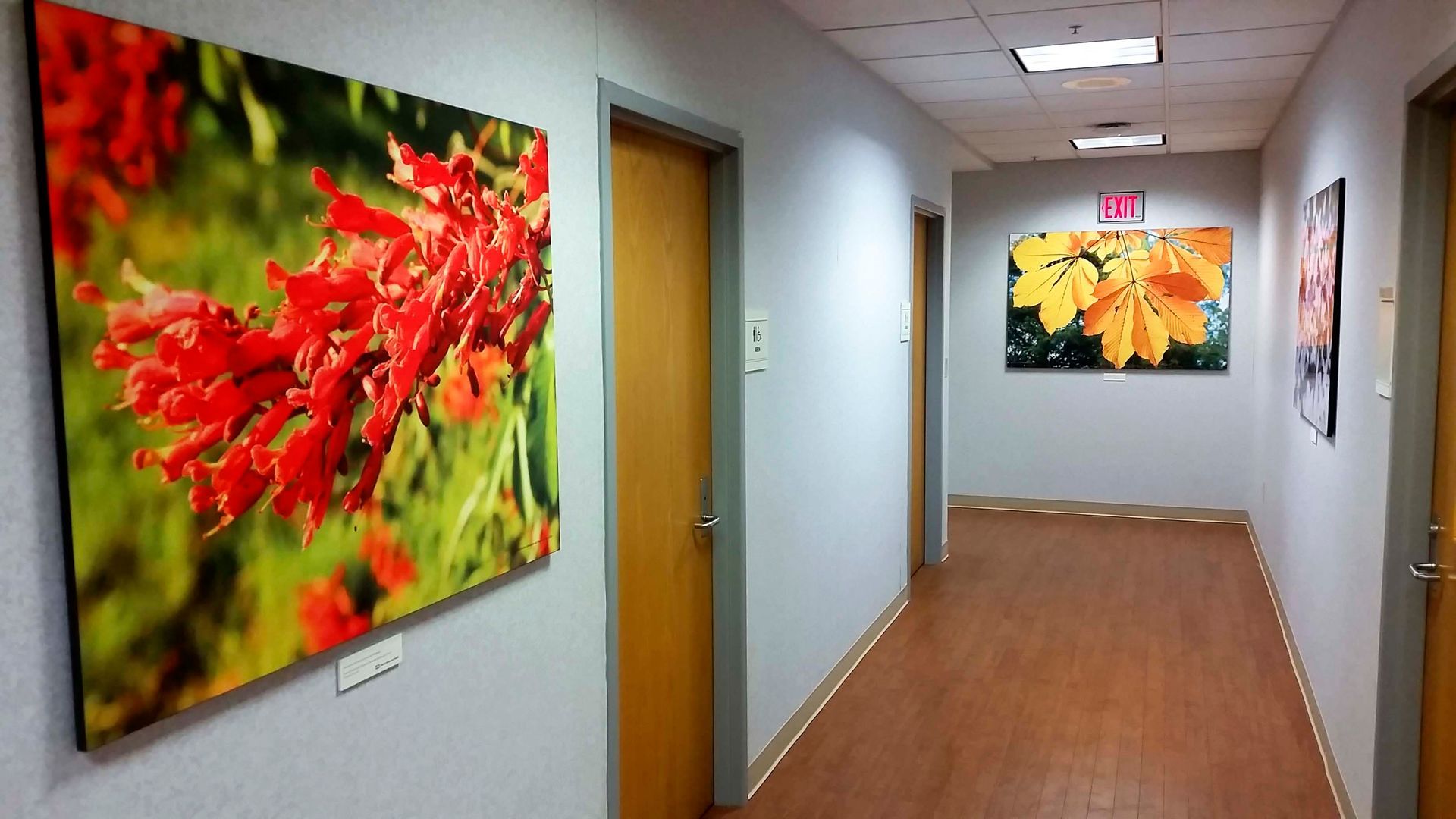 Hallway with wood-look floor and light gray walls. Colorful floral art hangs along the walls with yellow doors.