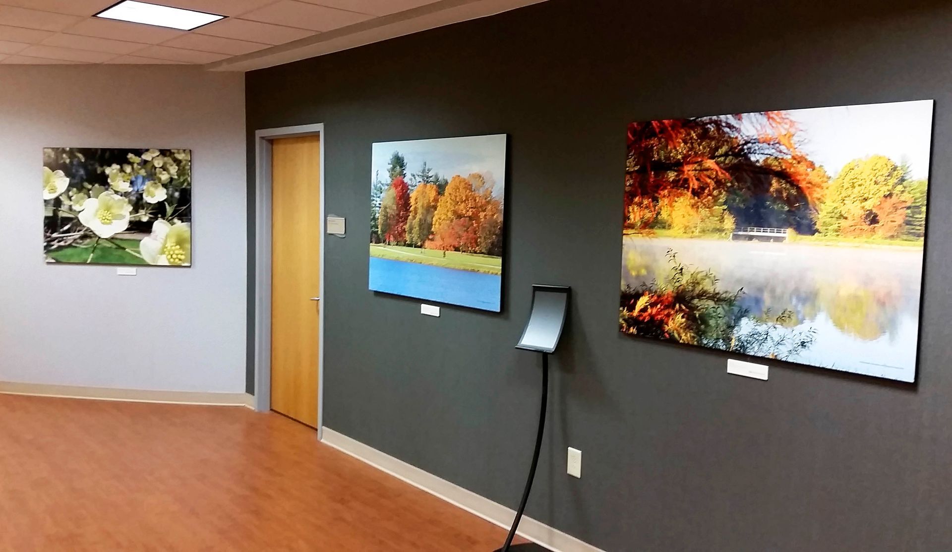 Gallery hallway with three framed landscape photographs on gray wall; wood floor.