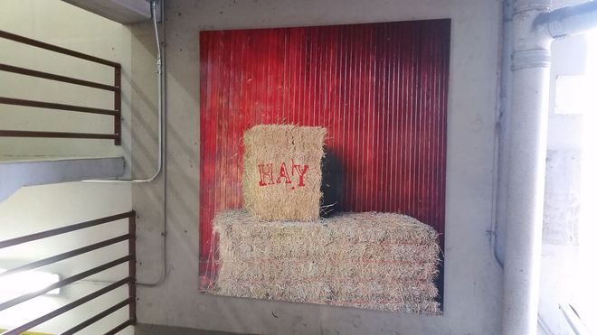 Unique Imaging Concepts