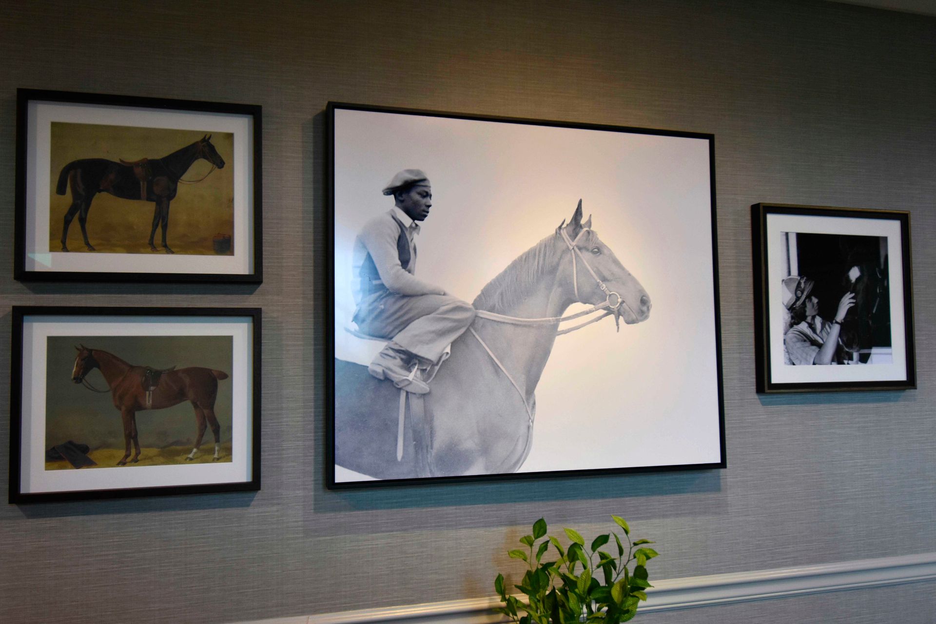 Wall art of horses and a jockey in frames on a gray wall with a plant below.