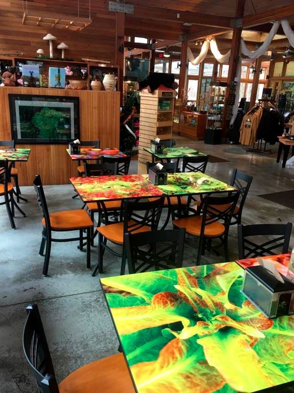 Restaurant interior with colorful tables and chairs. Wood and concrete floors, plants, and art displayed.