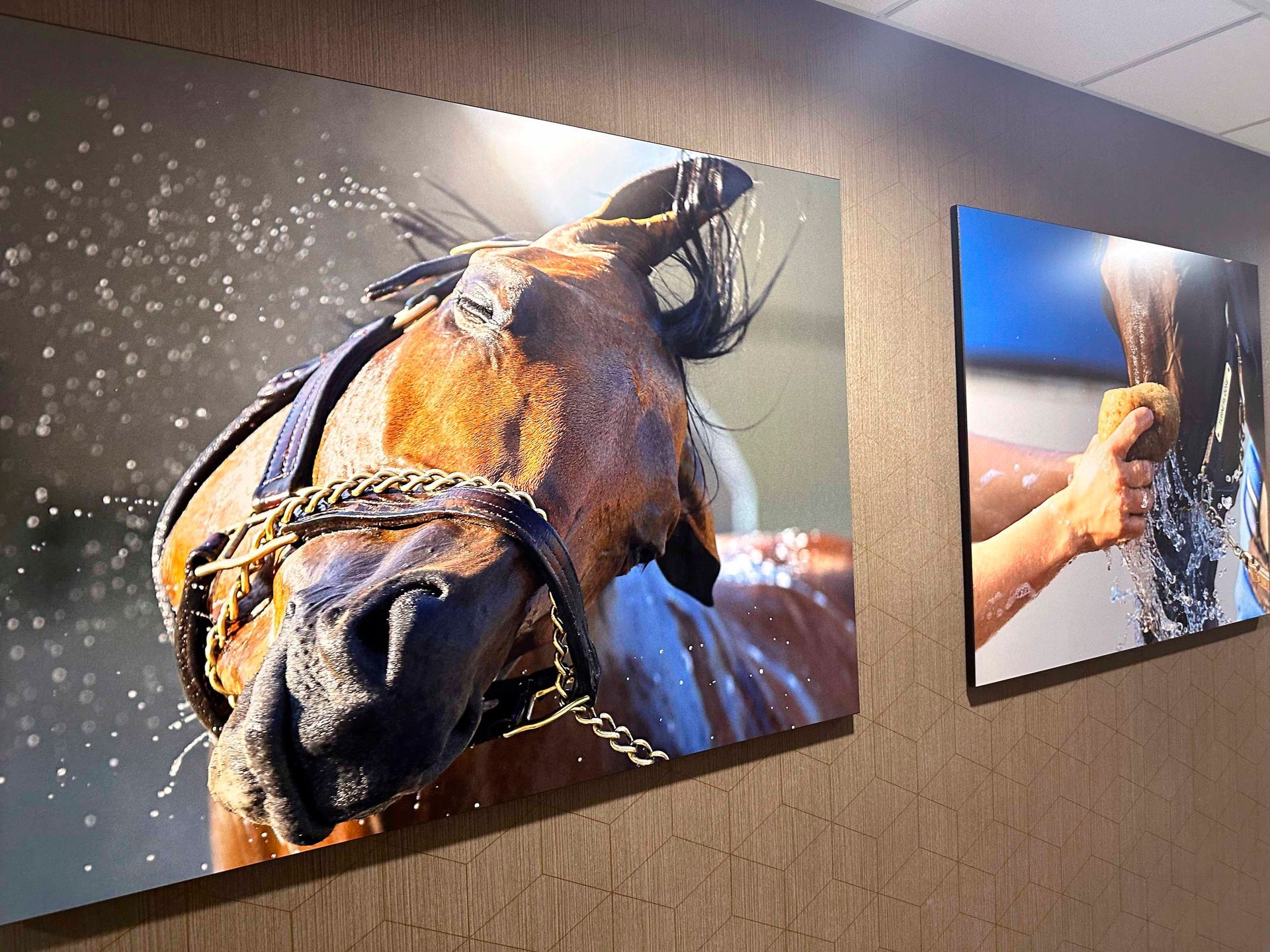 Unique Imaging Concepts | Design & Printing | Nationwide
