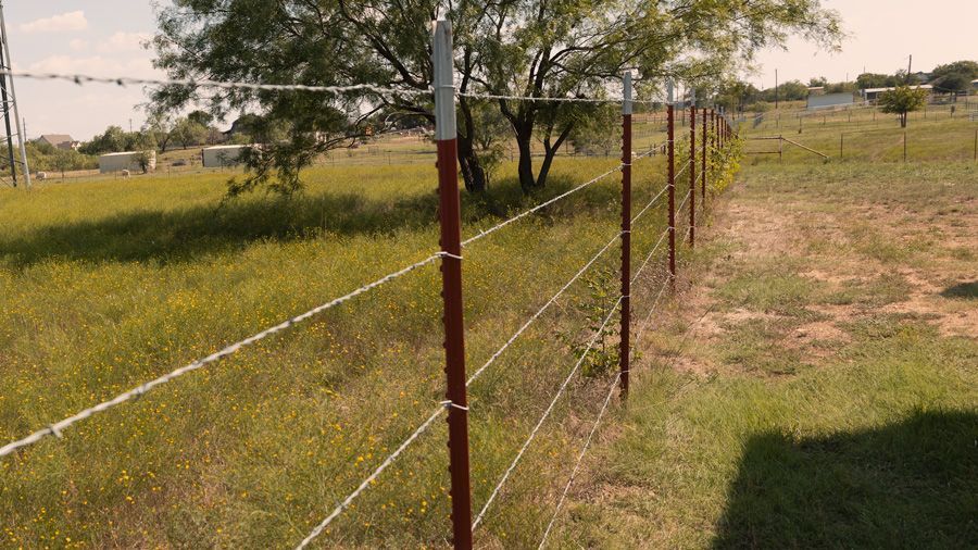 A barbed wire fence in a grassy field, with red and white metal posts, under a blue sky.