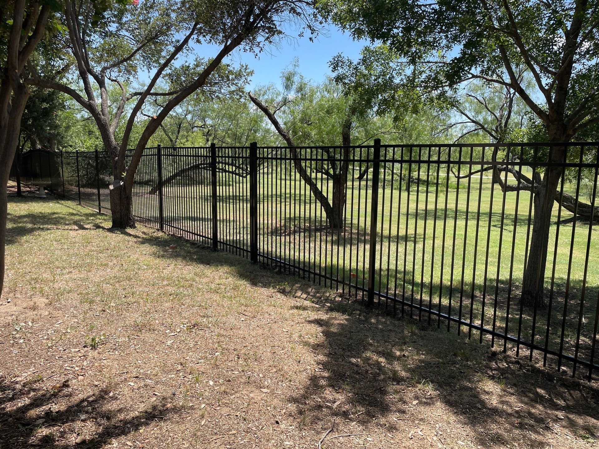 Black metal fence surrounding a grassy backyard with trees under a blue sky.