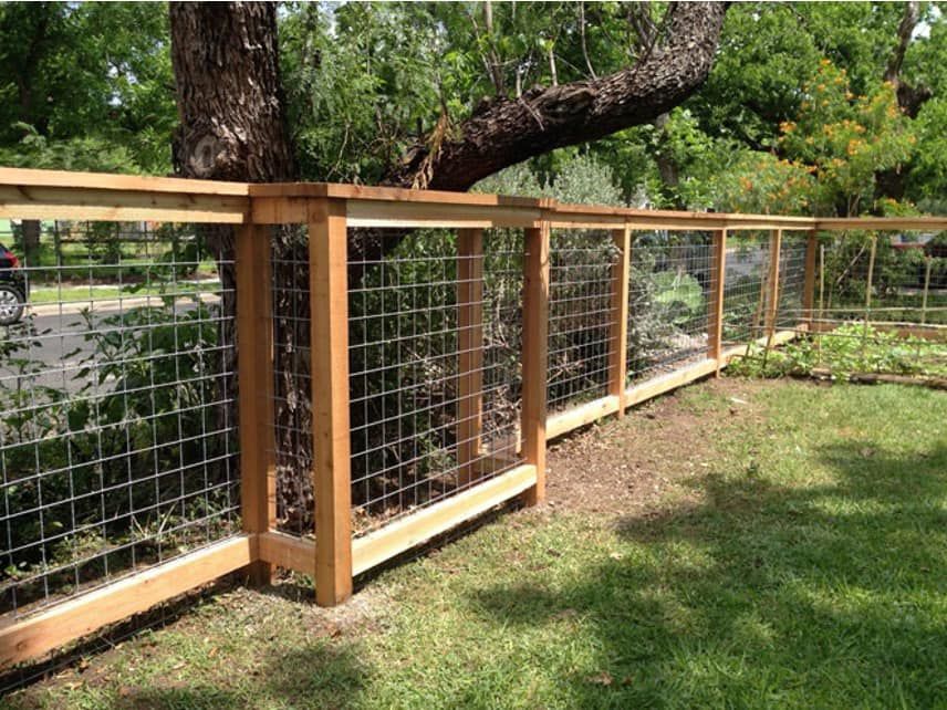 Wooden fence with wire mesh panels in a grassy yard, curving around a tree.