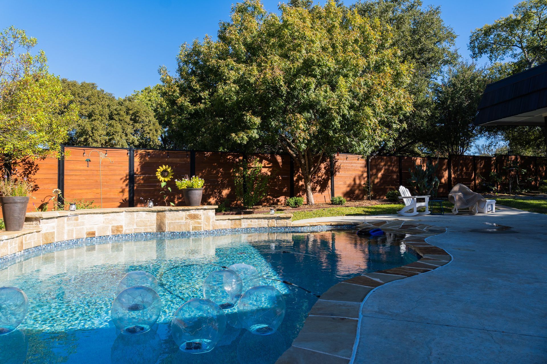 Swimming pool with blue water and surrounding patio. Wooden fence and trees in the background. Sunny day.