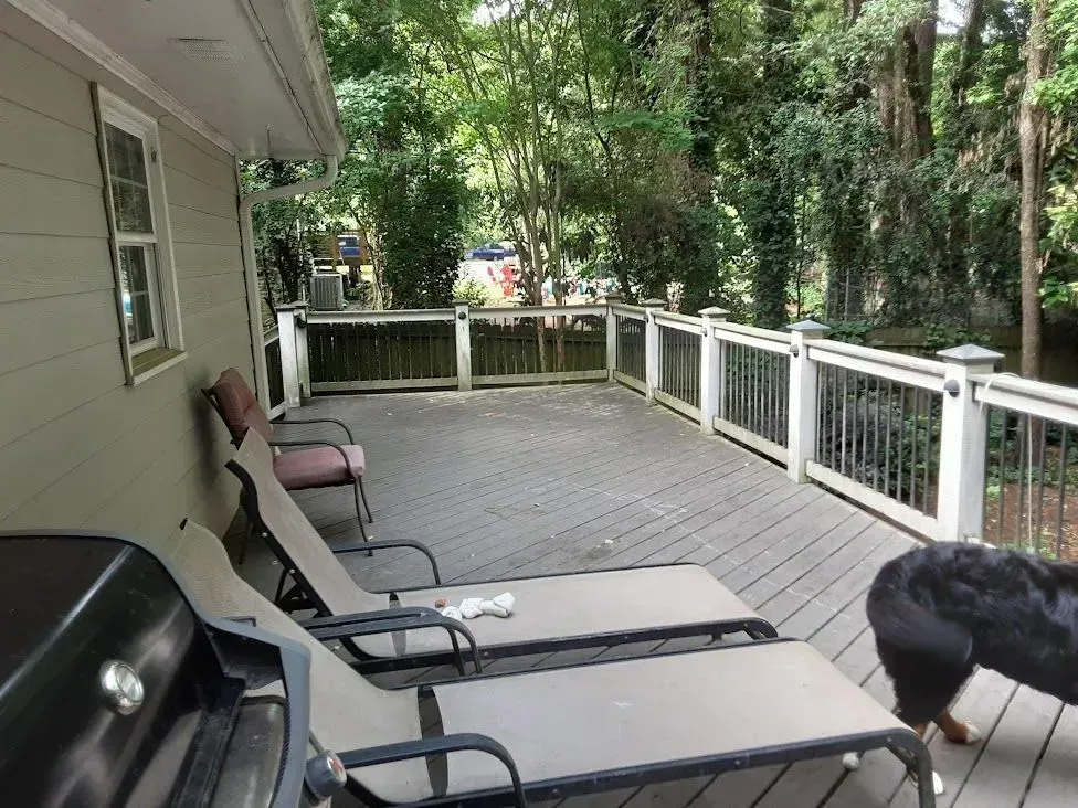Deck with lounge chairs and a dog, surrounded by trees.