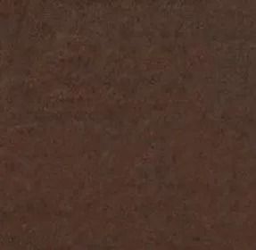 Dark brown, textured surface.