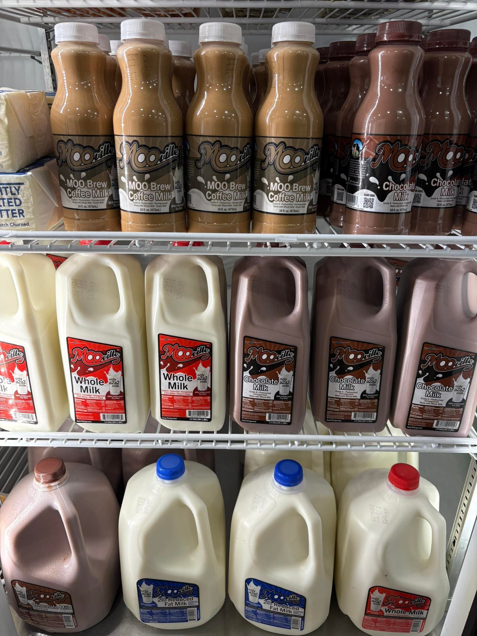 Bottles and jugs of flavored milk in a refrigerated display case.
