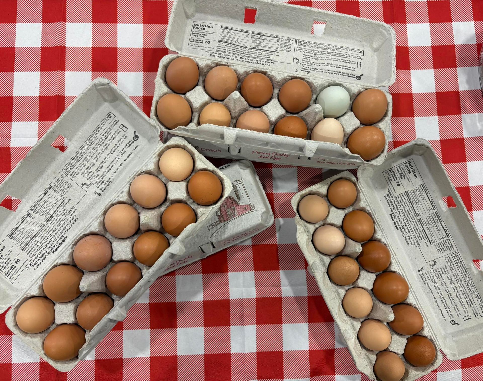Four cartons of eggs, with various shades of brown and one blue, on a red and white checkered surface.