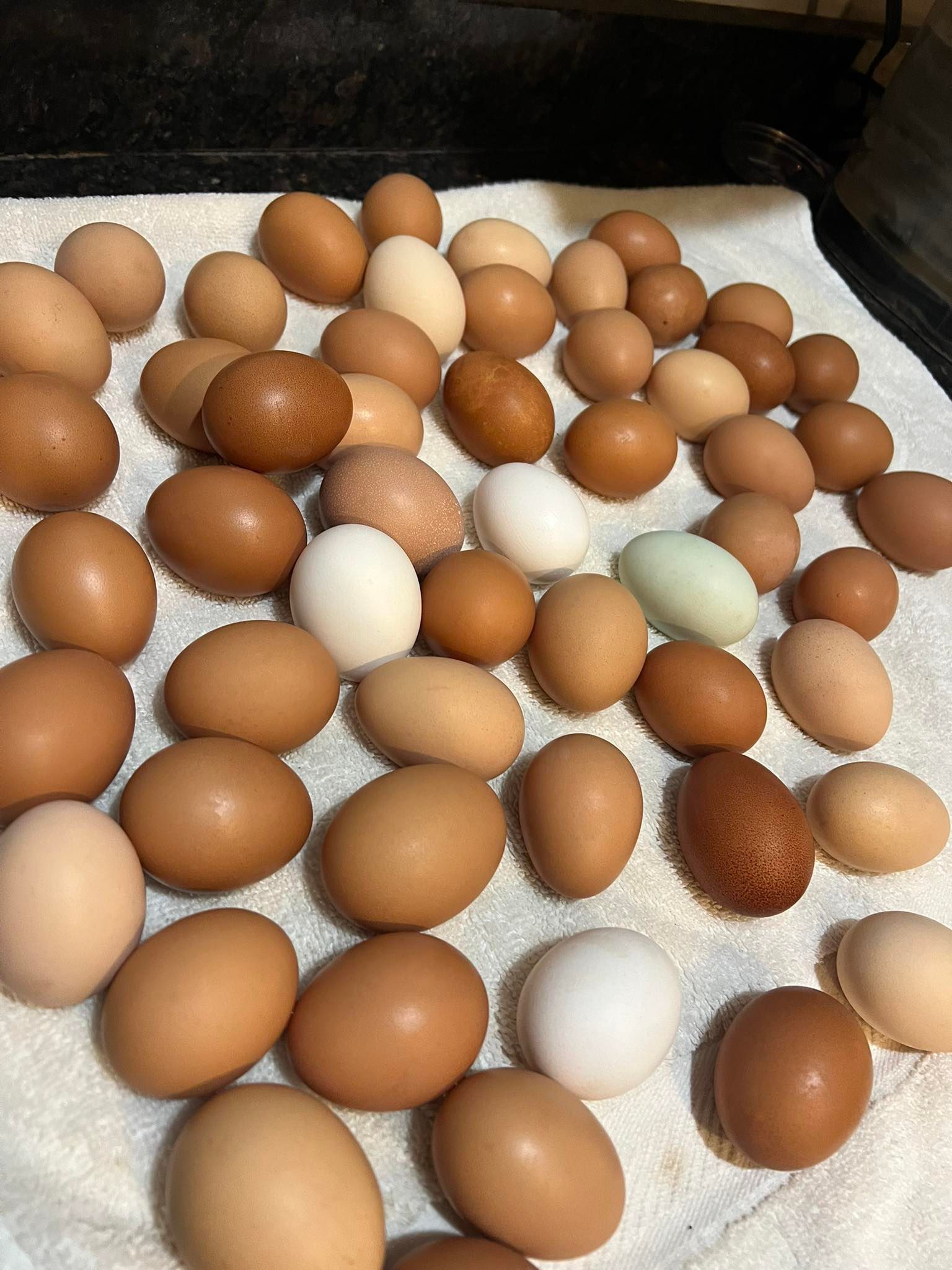Assorted brown, beige, and white eggs on a white towel. Some eggs have speckled shells.