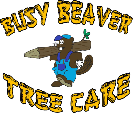 Busy Beaver Tree Care - Logo