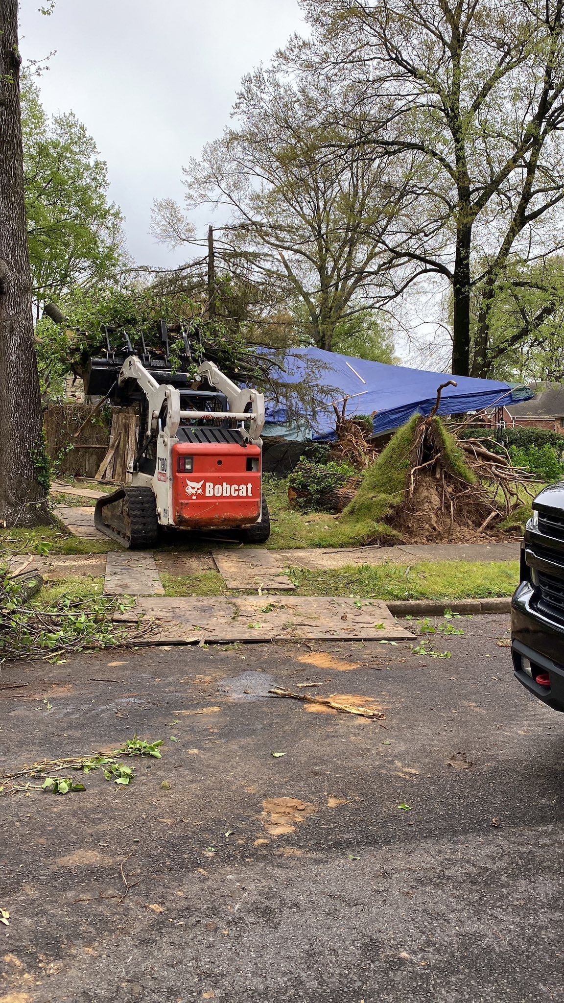A red Bobcat skid steer moves tree debris in a yard with a large blue tarp covering a roof in the background.