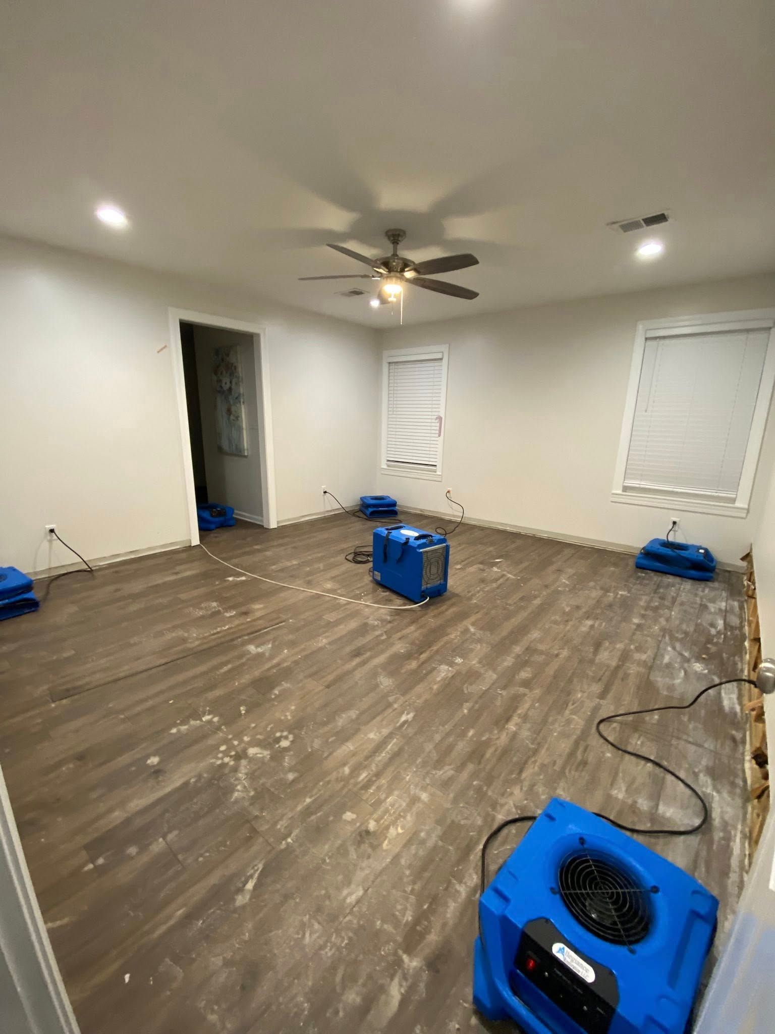 A room with wood-look flooring under restoration, featuring blue air movers, removed baseboards, and two windows.