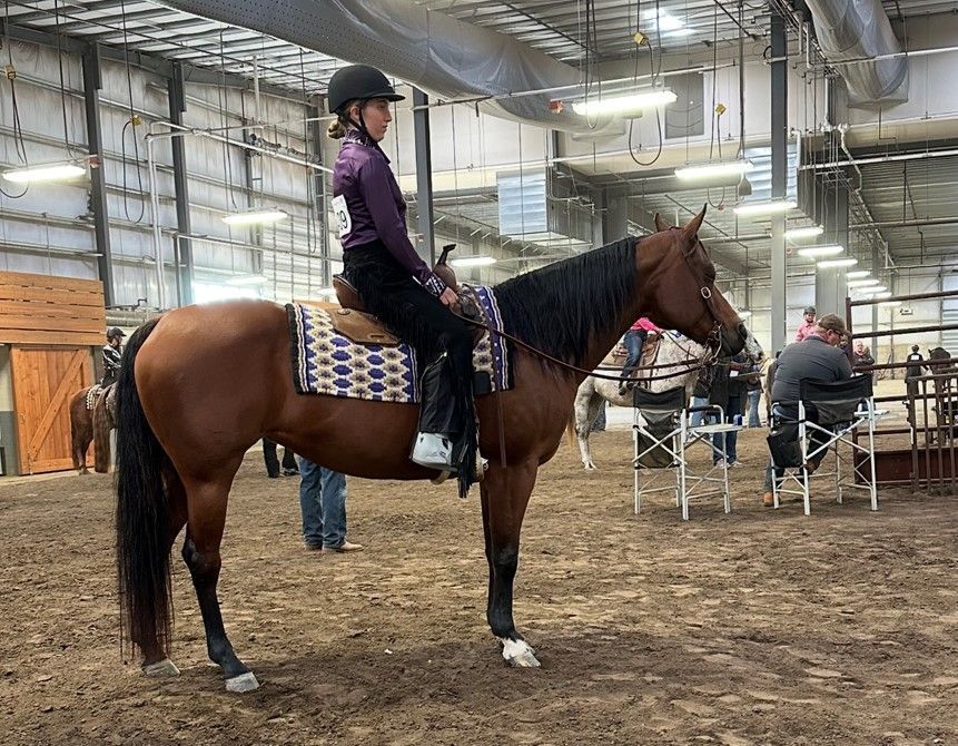 A young girl is riding a brown horse in a stable.