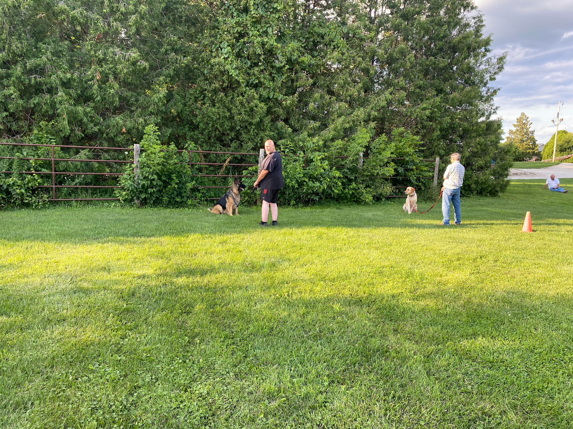 Outdoor Dog Training