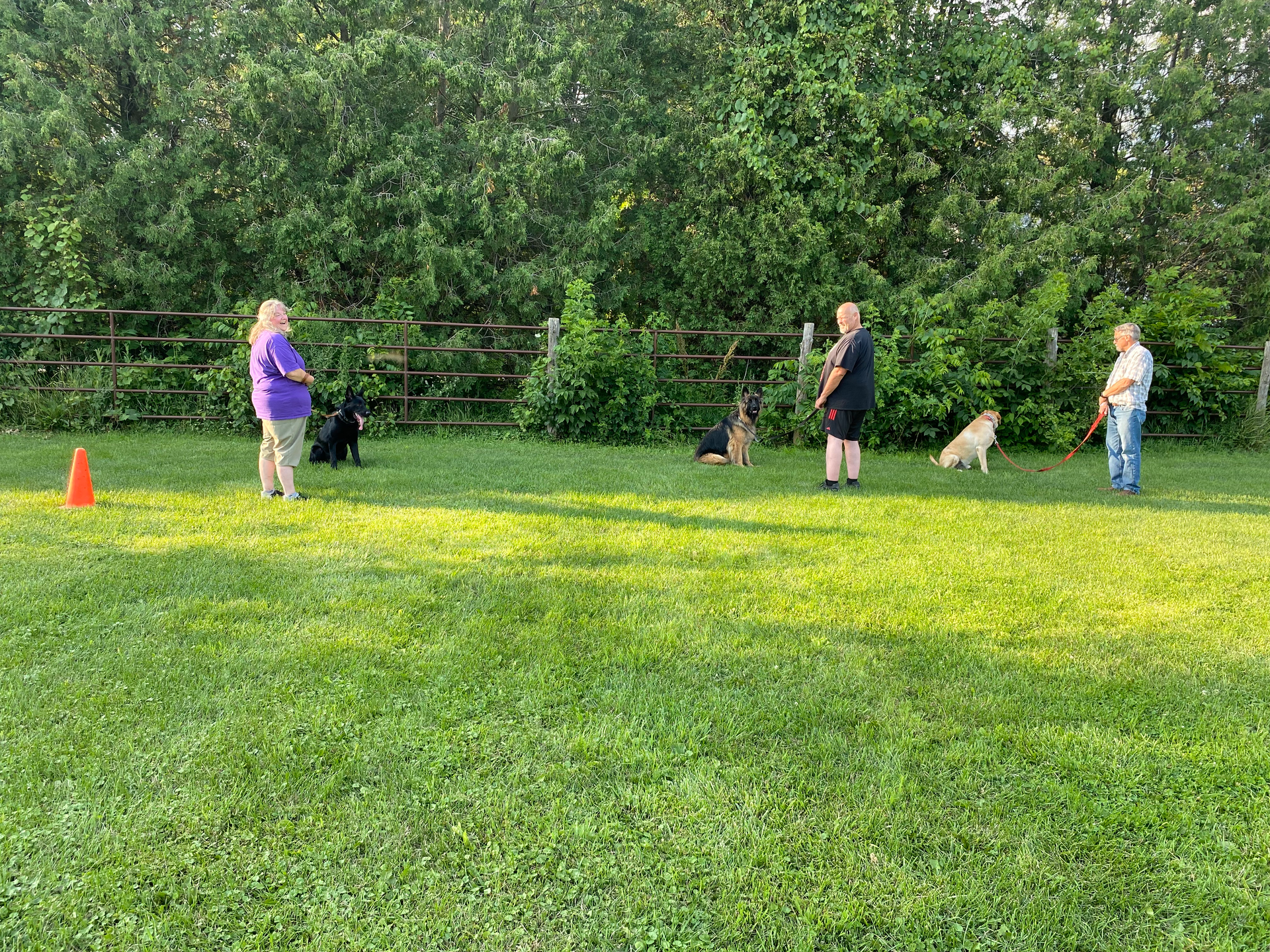 Outdoor Dog Training 2