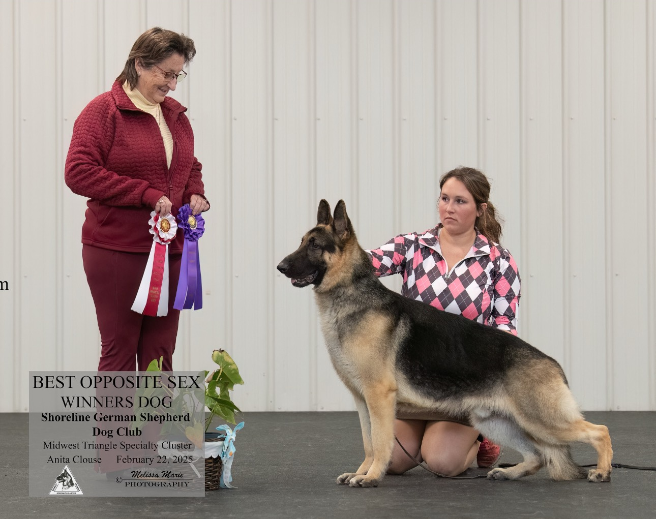 Best Opposite Sex Winner German Shepard