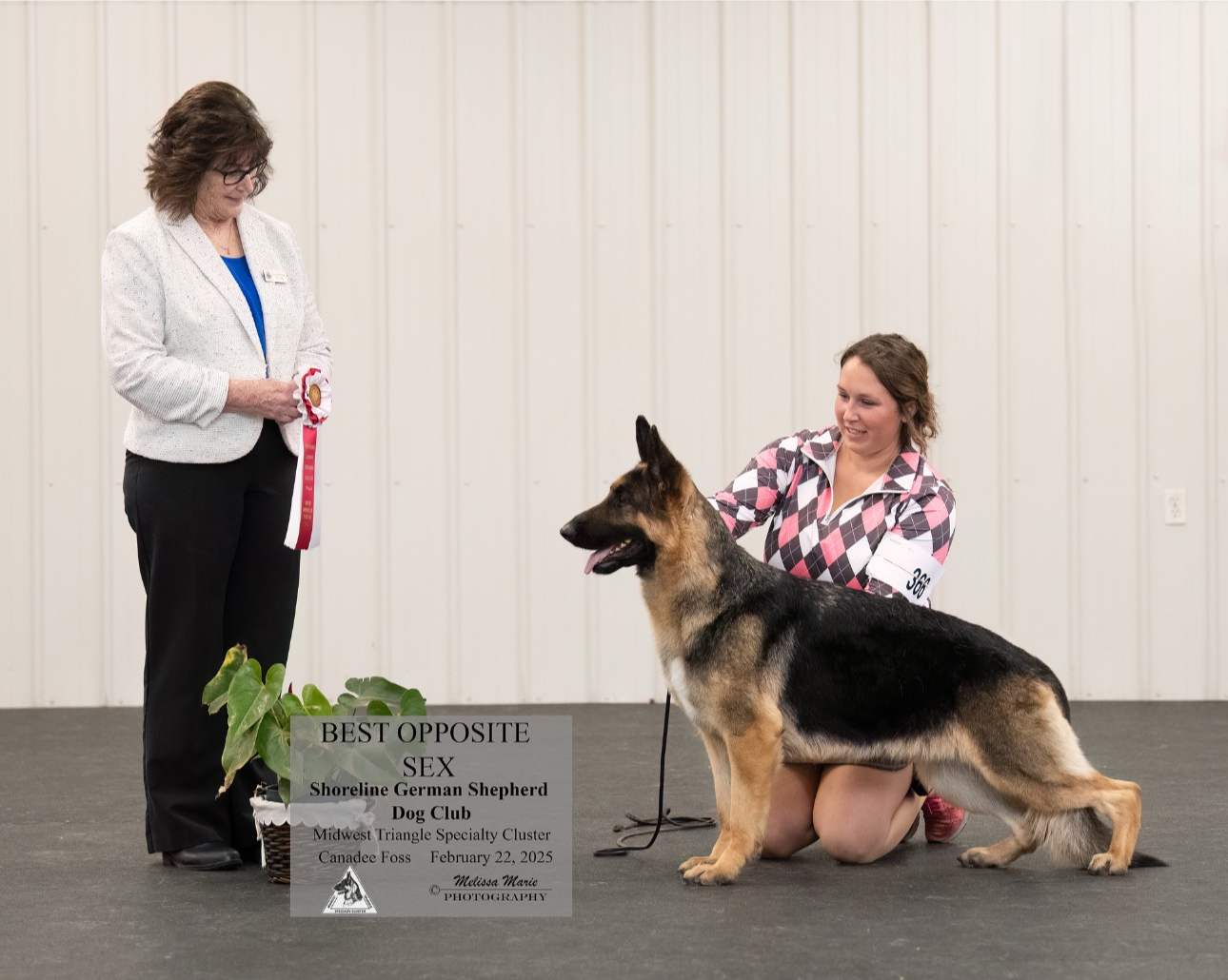 Best Opposite Sex German Shepard Award