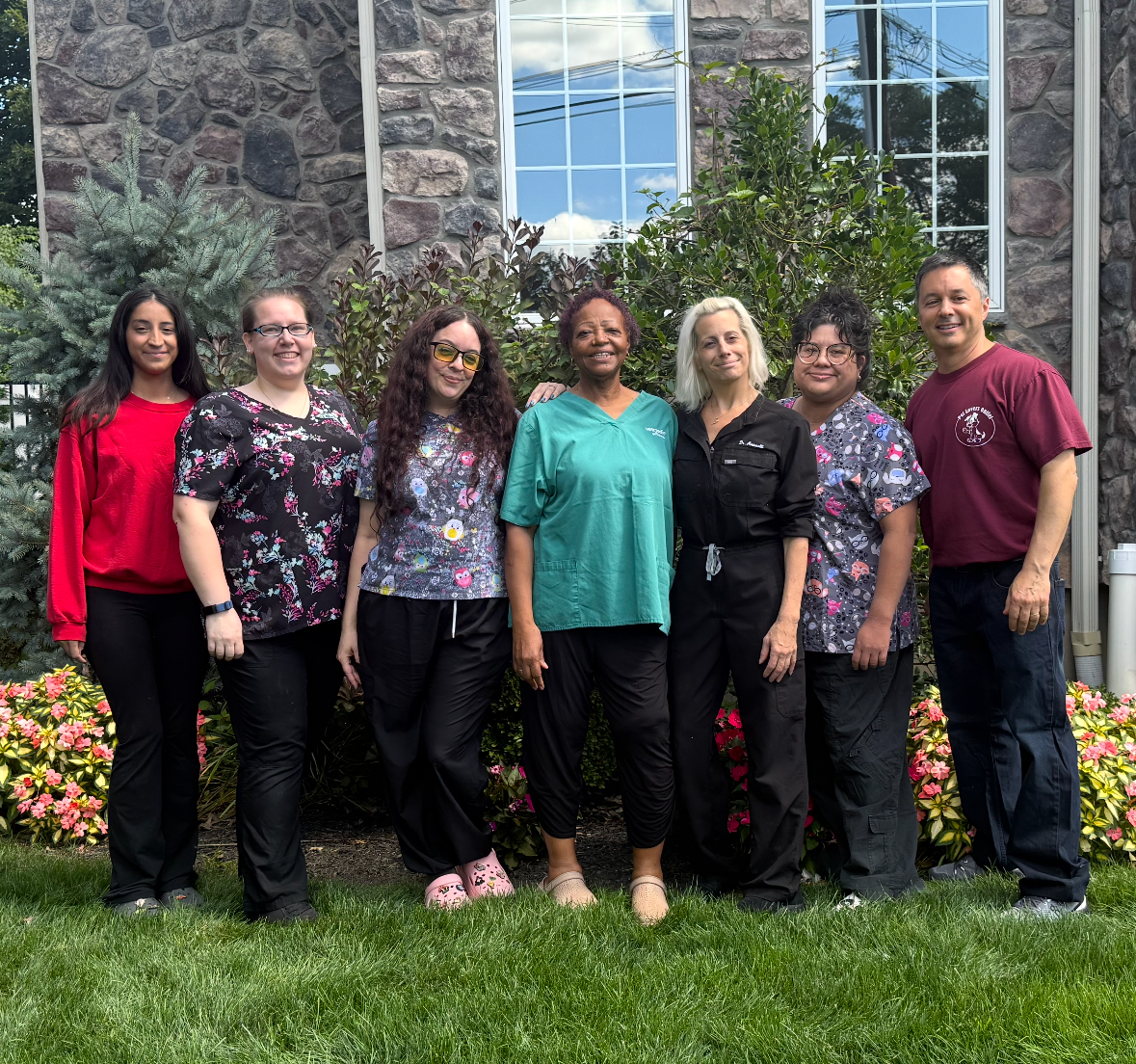 Veterinarian's team with cats and dogs