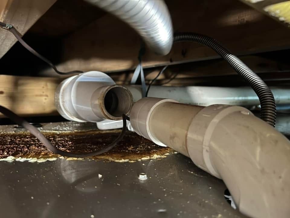 Under-sink plumbing with PVC pipes and a leak pooling in the cabinet base